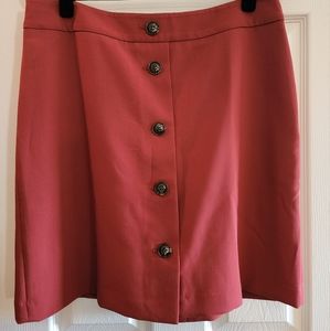 Ann Taylor Mini Skirt